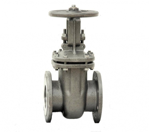 Задвижка стальная 30лс941нж (PN 16, DN 50-600)